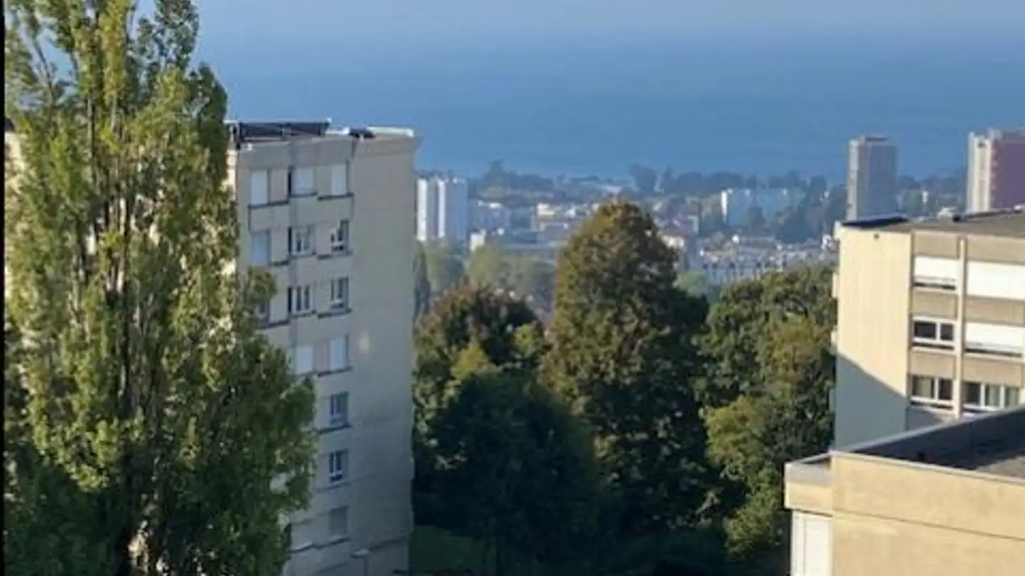 Appartamento in affitto - Chemin Guillaume-De-Pierrefleur 13, 1004 Lausanne