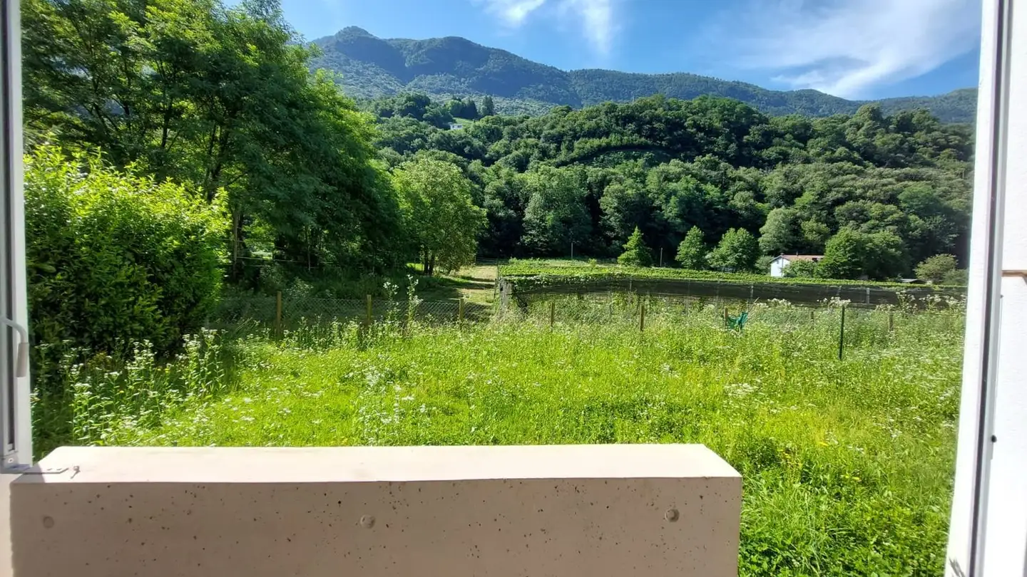 Appartamento in affitto - 6528 Camorino