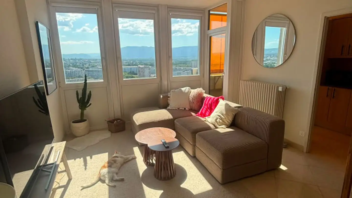 Appartement à louer - Rue Des Bossons 78, 1213 Petit-Lancy