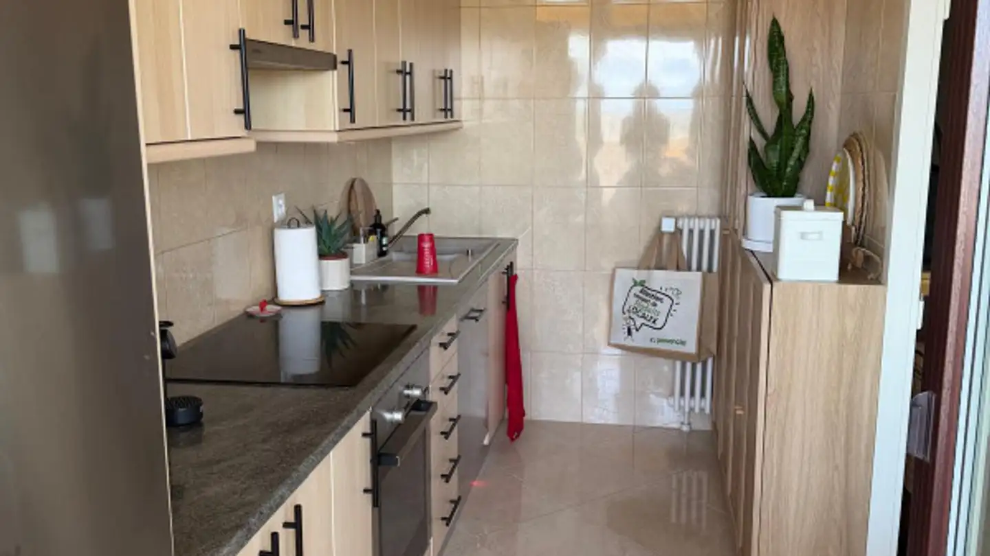 Appartement à louer - Rue Des Bossons 78, 1213 Petit-Lancy - Photo 3