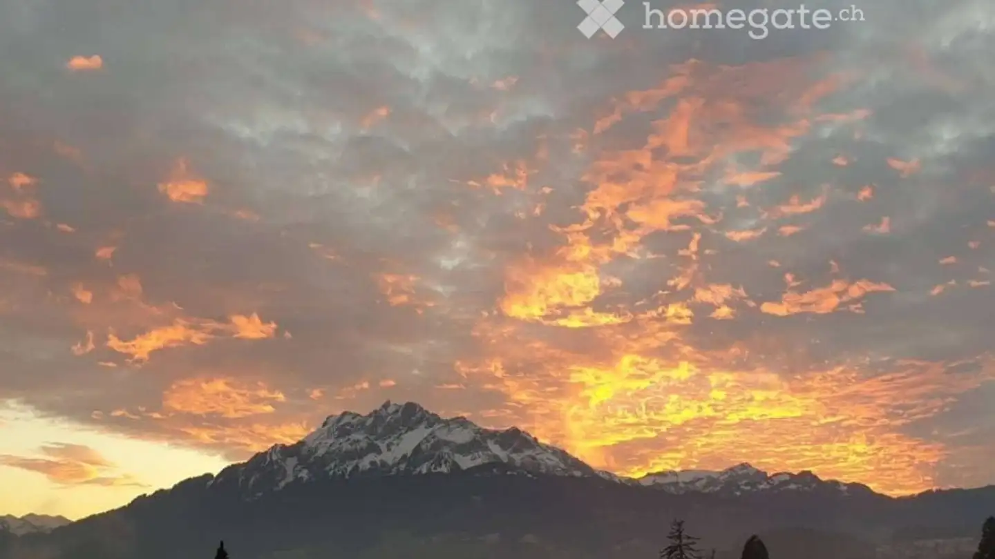 Wohnung mieten - Liebenauweg, 6006 Luzern - Foto 4