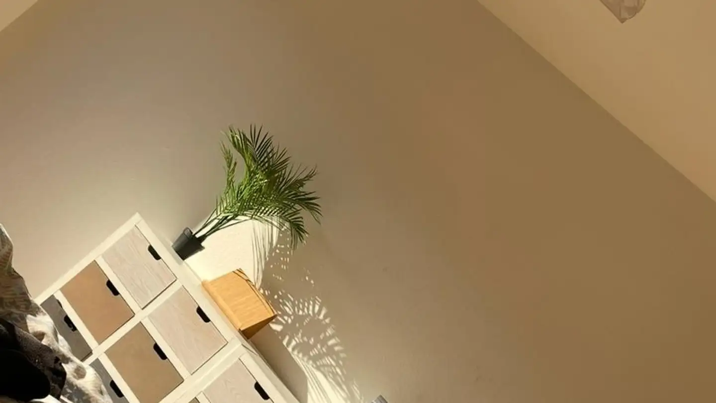 Single room for rent - 8038 Zürich