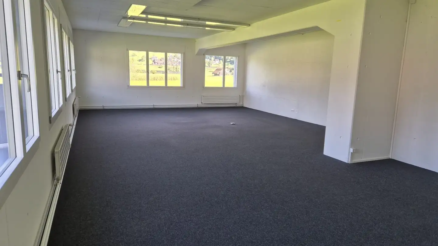 Commerciale in affitto - Frauholzstrasse 40, 6422 Steinen - Foto 4