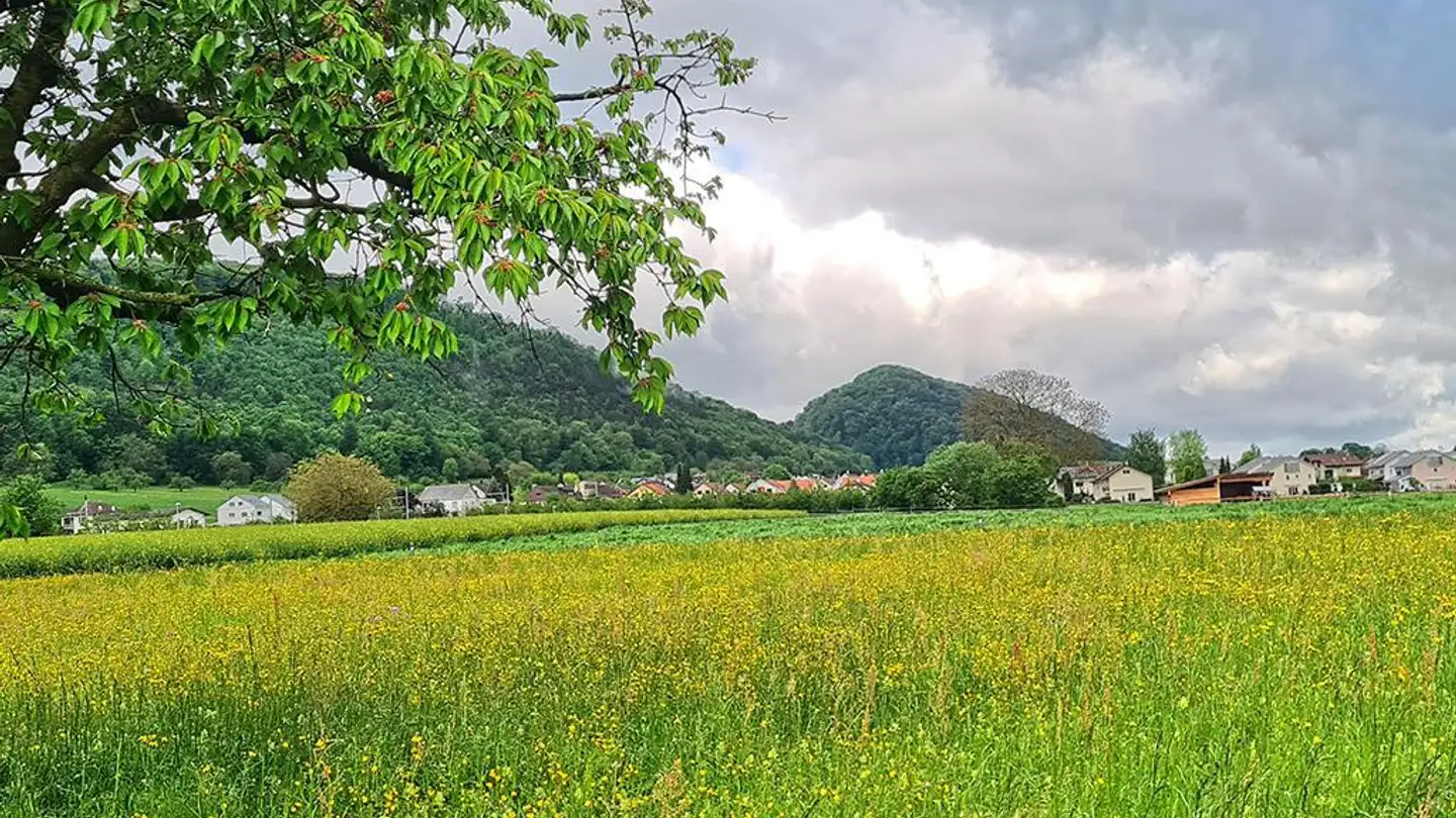 Villa for sale - 4108 Witterswil