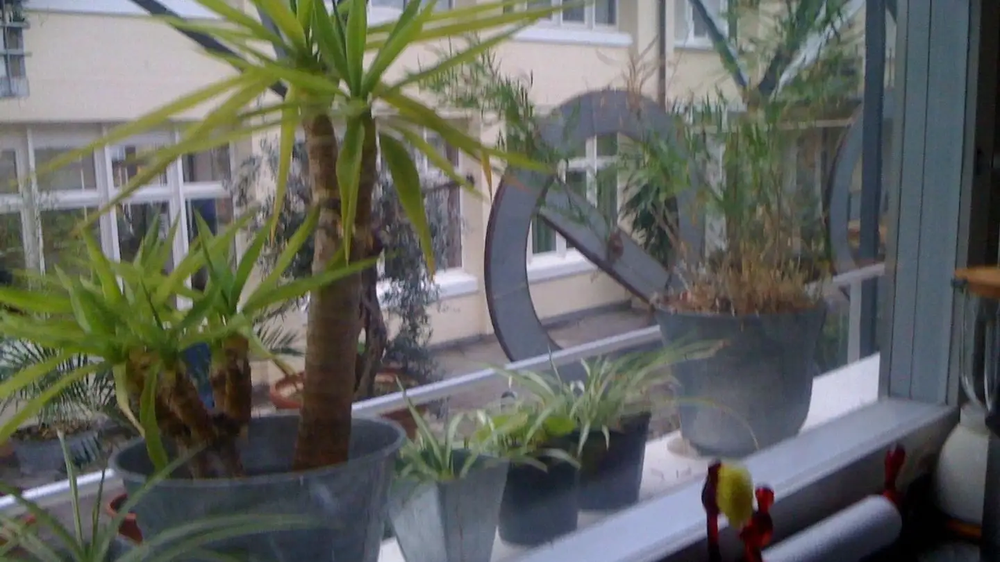 Loft mieten - Rue de l'Industrie 3, 2720 Tramelan - Foto 3