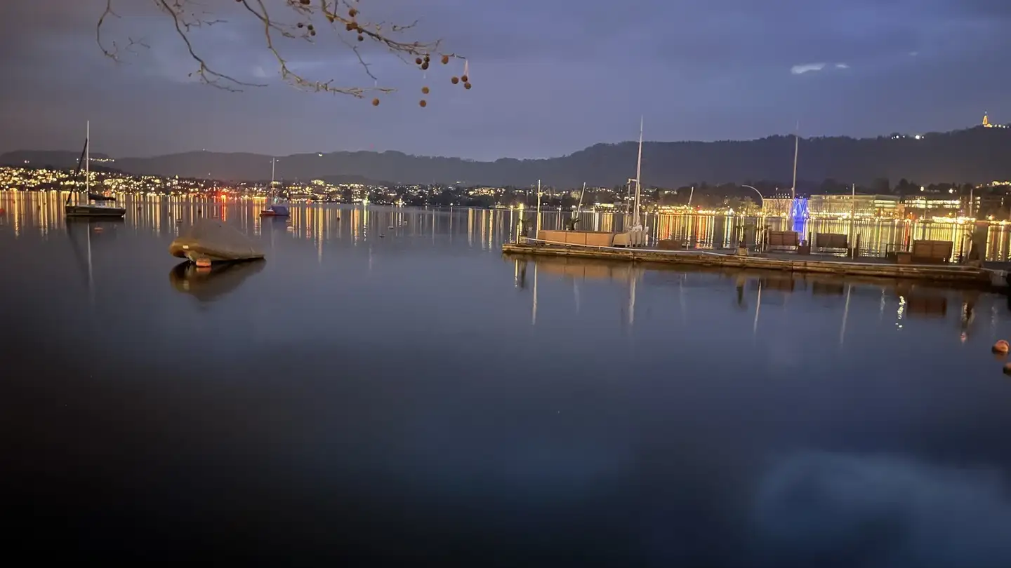 Chambre à louer - Albisstrasse 9, 8134 Adliswil - Photo 4