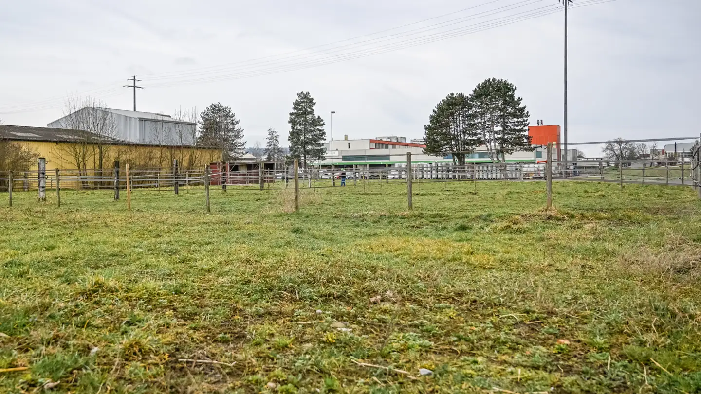 Fattoria in vendita - Wiesenstrasse 37, 5734 Reinach AG - Photo 3