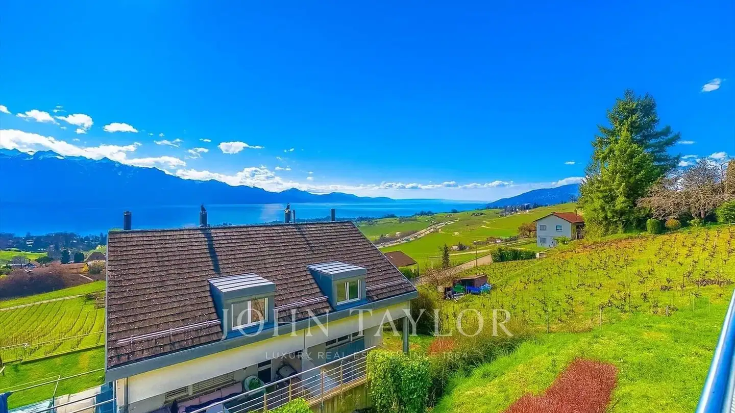 Single house for sale - Route De Saint Légier, 1807 Blonay - Photo 2