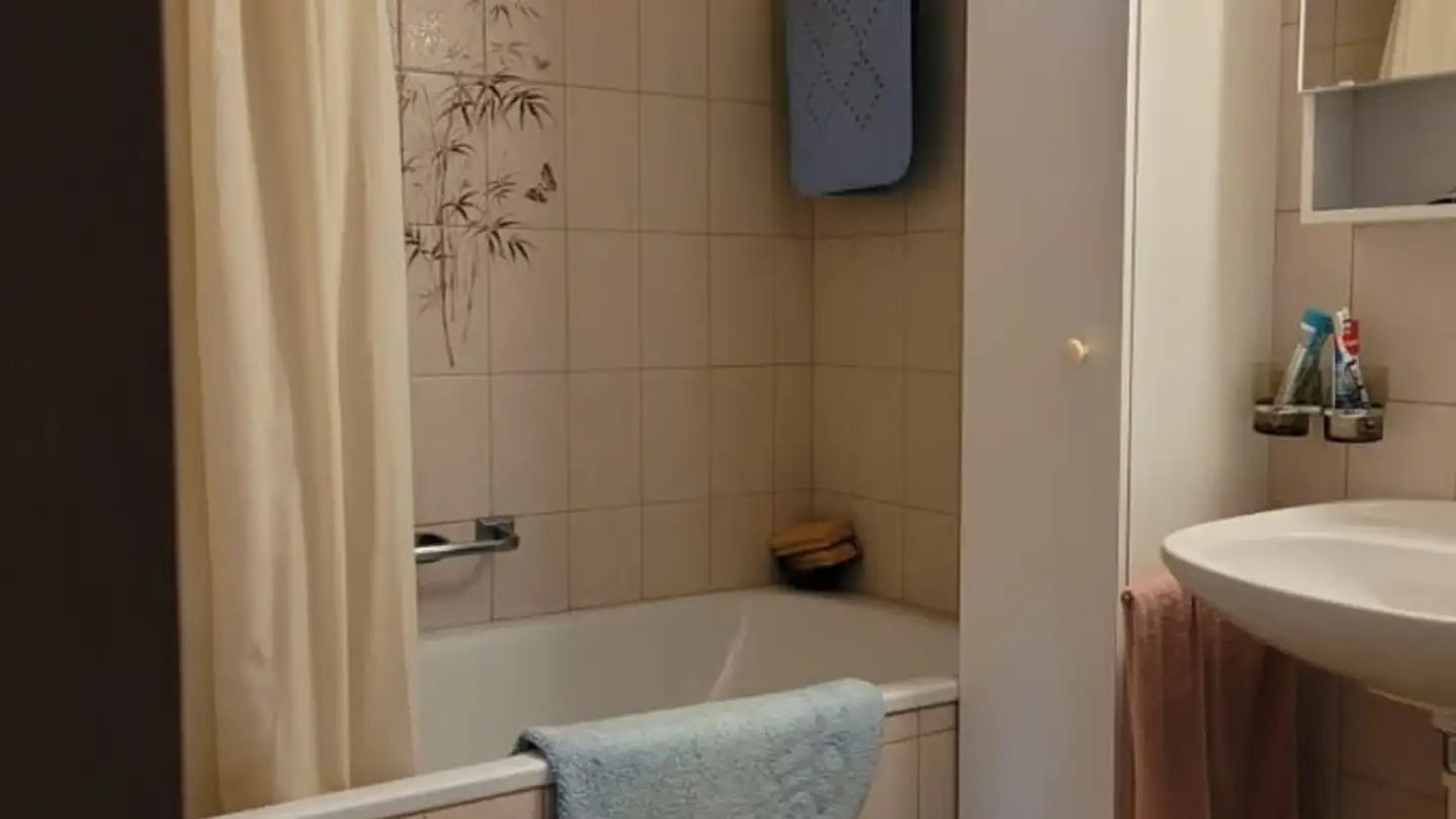 Appartamento in affitto - 6440 Brunnen - Foto 4