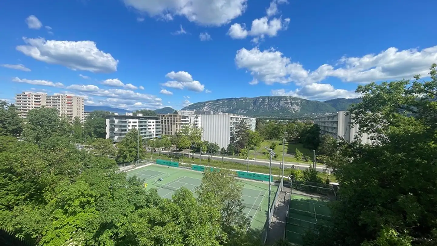 Appartement à louer - Chemin Des Fraisiers 15, 1212 Grand-Lancy - Photo 2