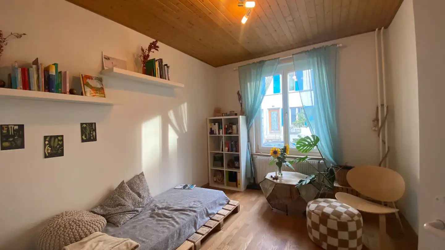 Chambre à louer - An Der Hohlen Gasse 6, 4058 Basel - Photo 3