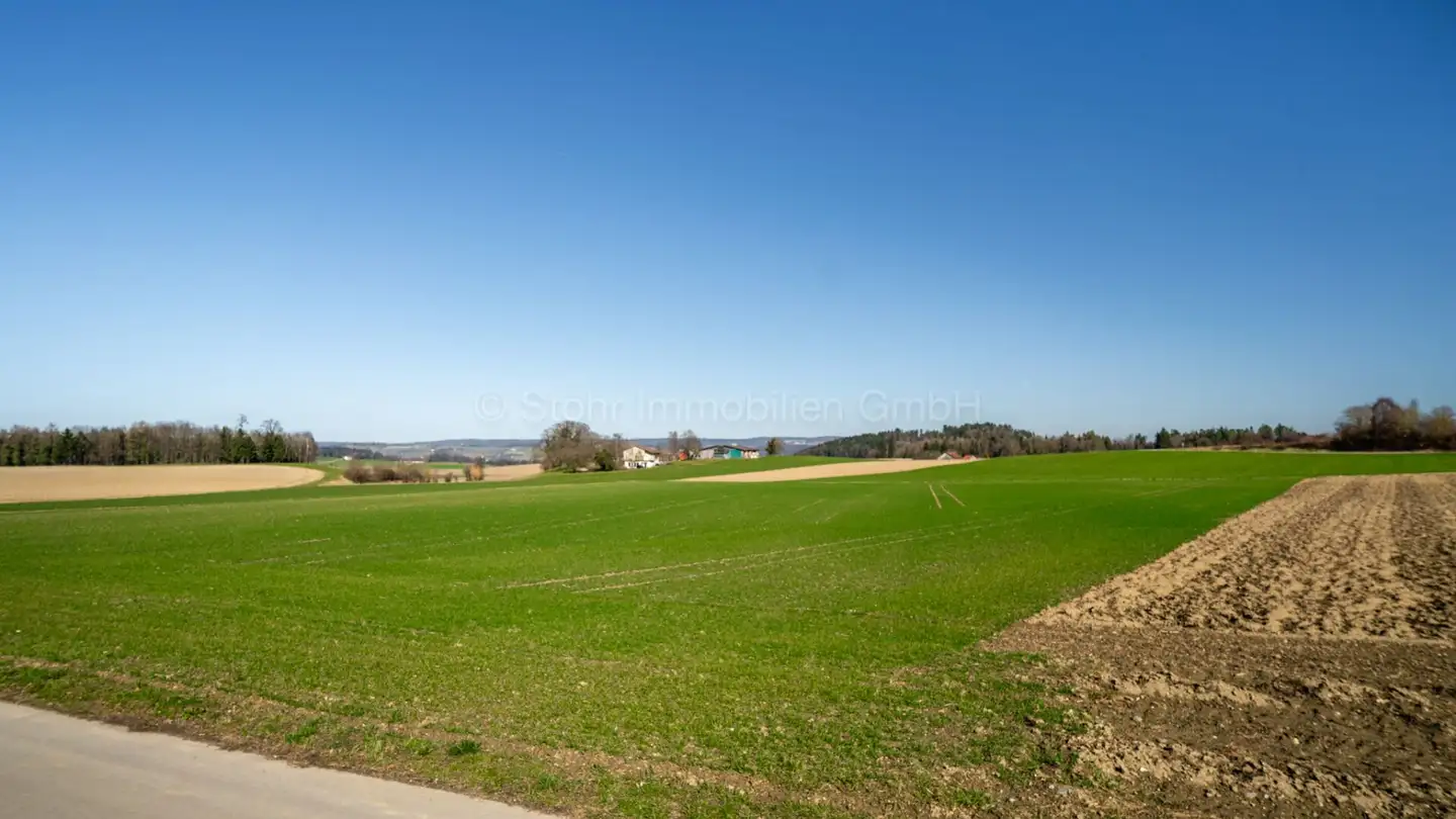 Bauland kaufen - Rainstrasse, 8544 Attikon - Foto 3