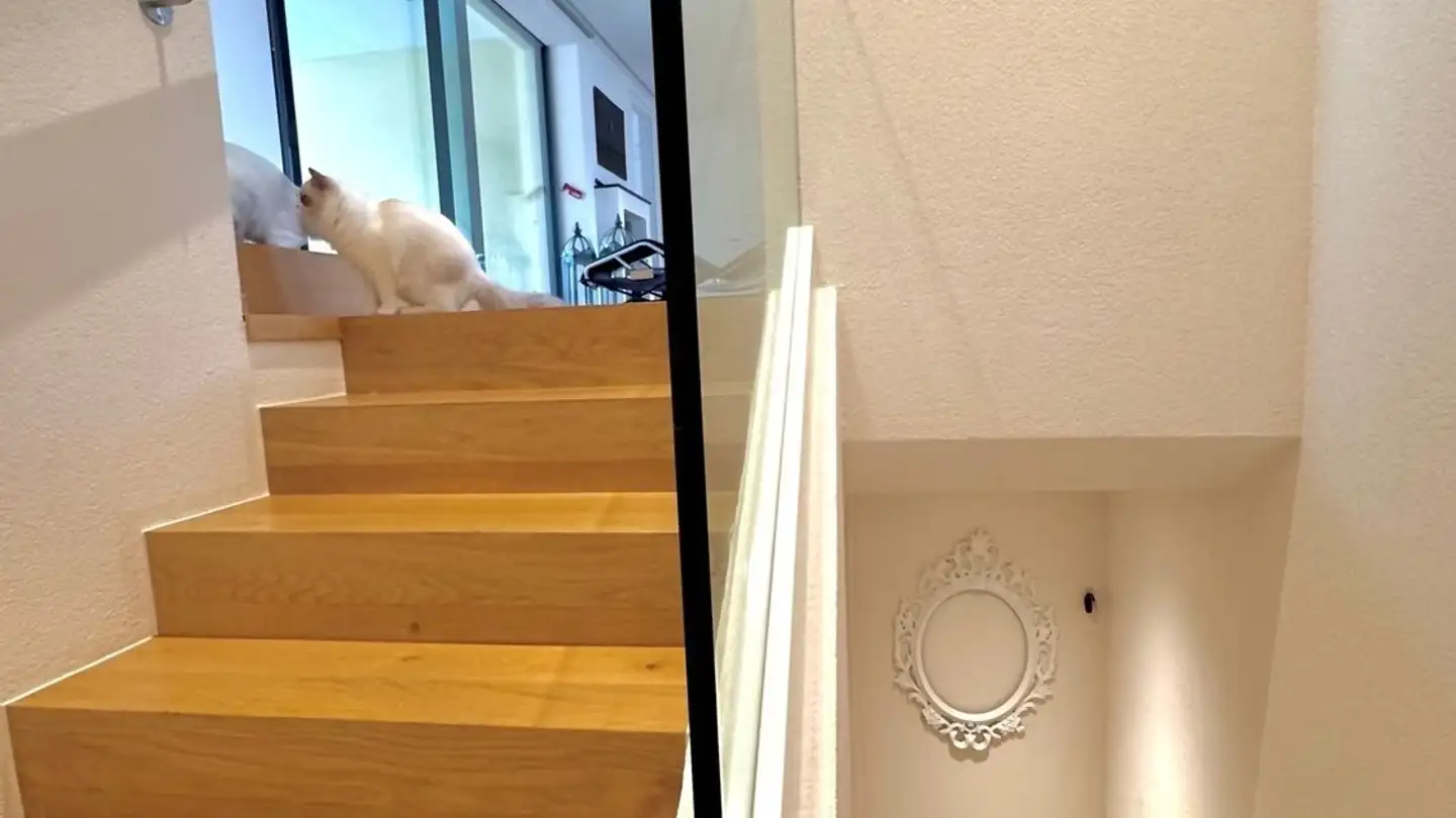 Appartamento in affitto - 6612 Ascona - Photo 4