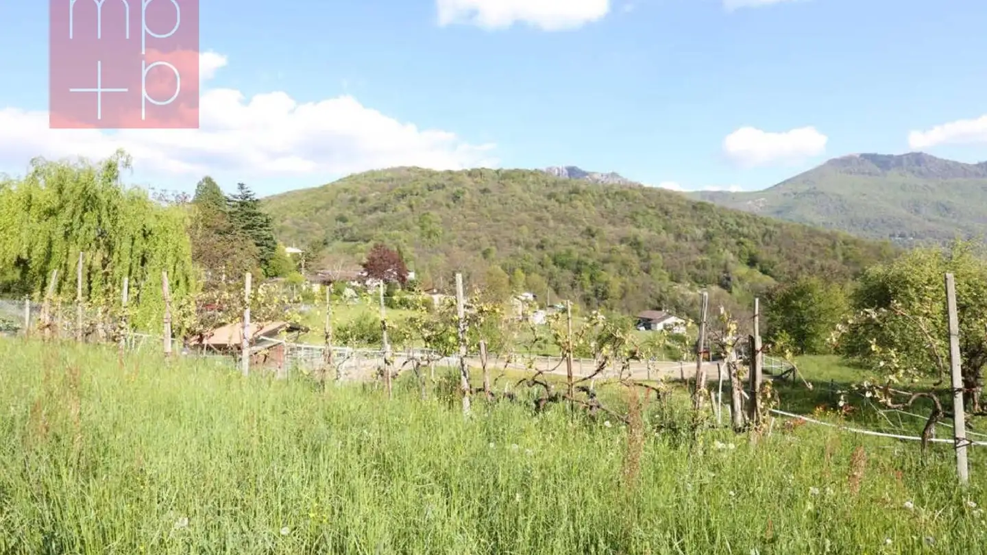 Terrain constructible à vendre - 6956 Lopagno - Photo 2