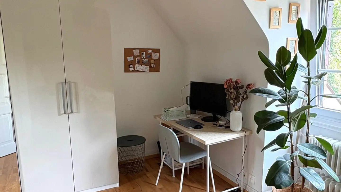 Stanza singola in affitto - Lavaterstrasse 90, 8002 Zürich