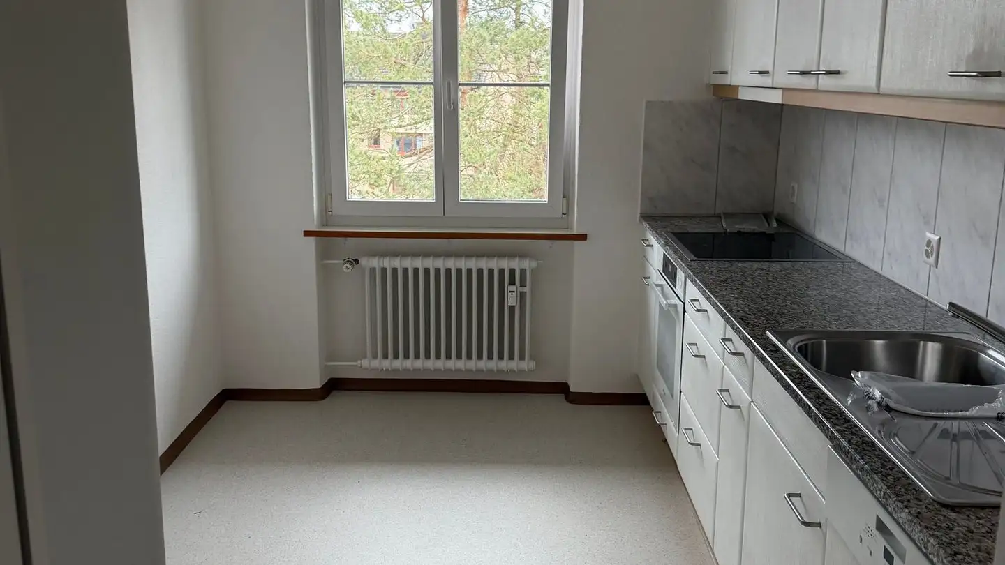 Attique à louer - Drusbergstrasse 6, 8610 Uster - Photo 3