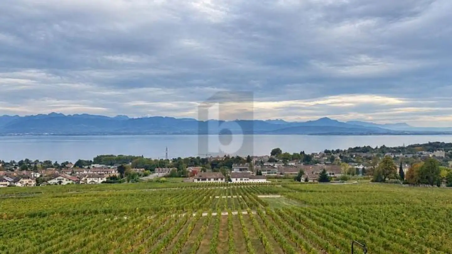 Penthouse mieten - 1185 Mont-sur-Rolle - Foto 2