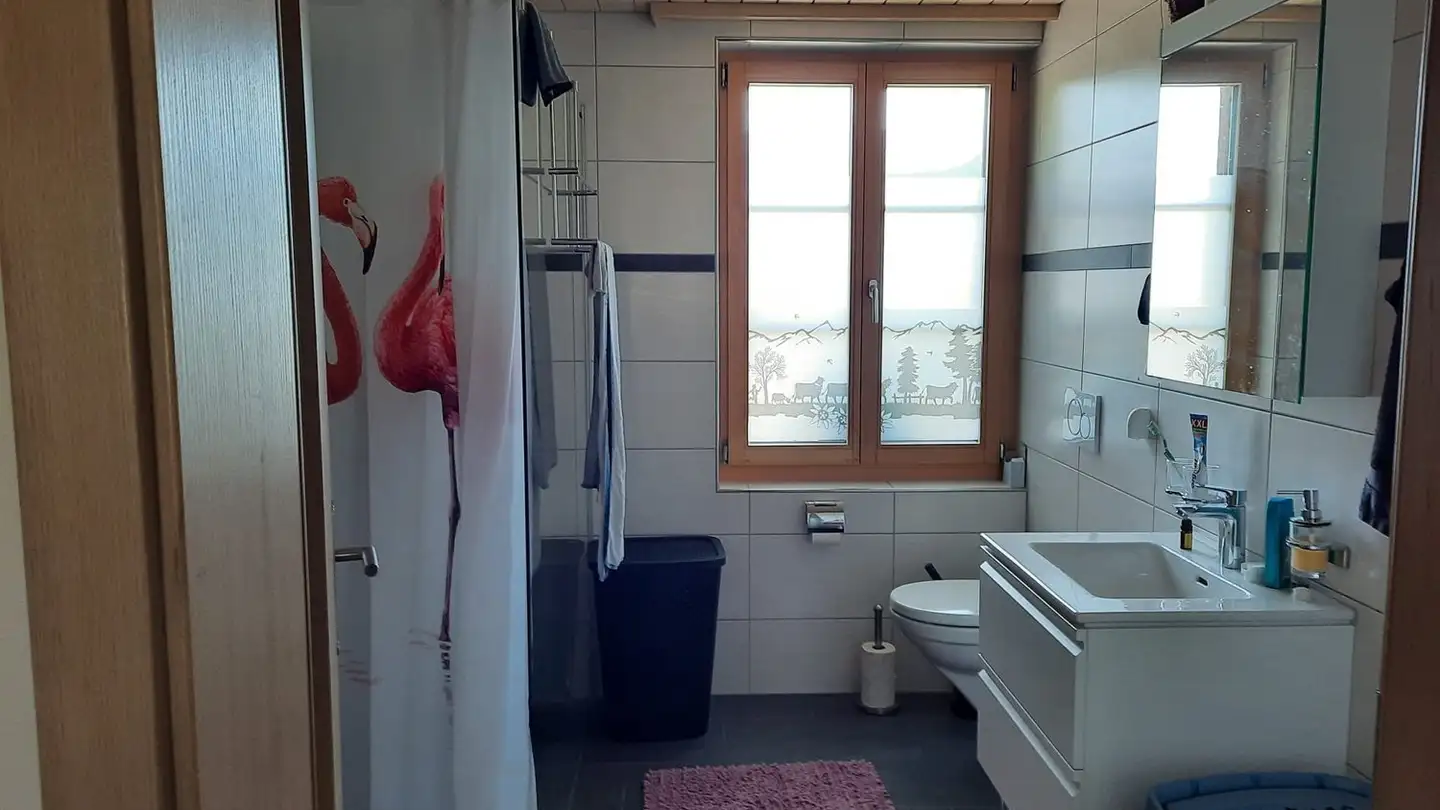 Appartamento in affitto - Brunnenboden 67, 3537 Eggiwil - Foto 3