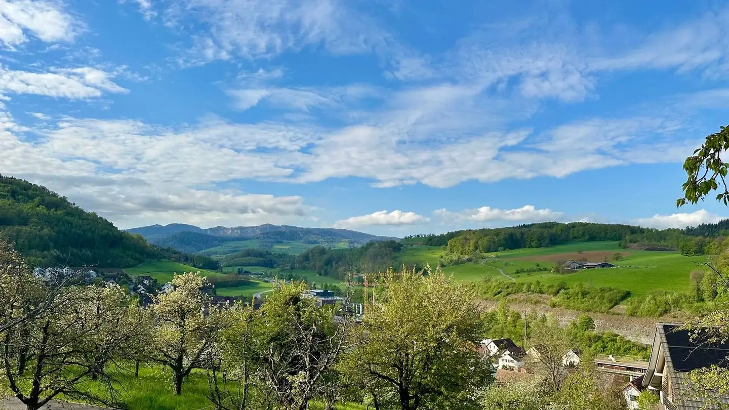 Terrain constructible à vendre - Elletenweg, 4456 Tenniken