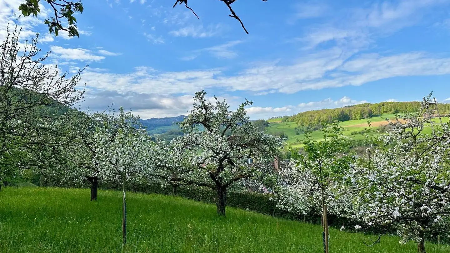 Terreno edificabile in vendita - Elletenweg, 4456 Tenniken - Photo 2