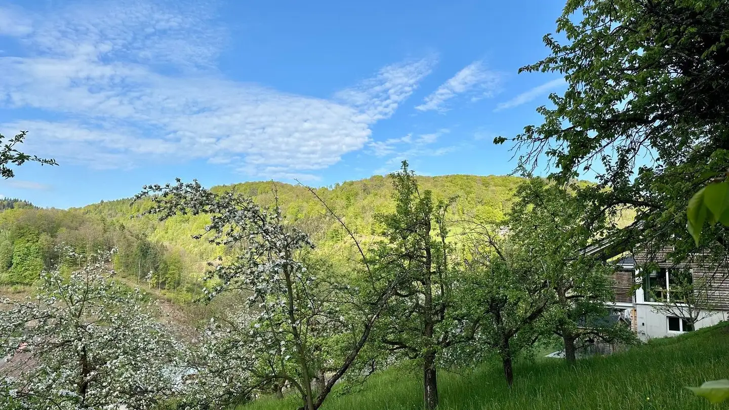 Terreno edificabile in vendita - Elletenweg, 4456 Tenniken - Photo 3