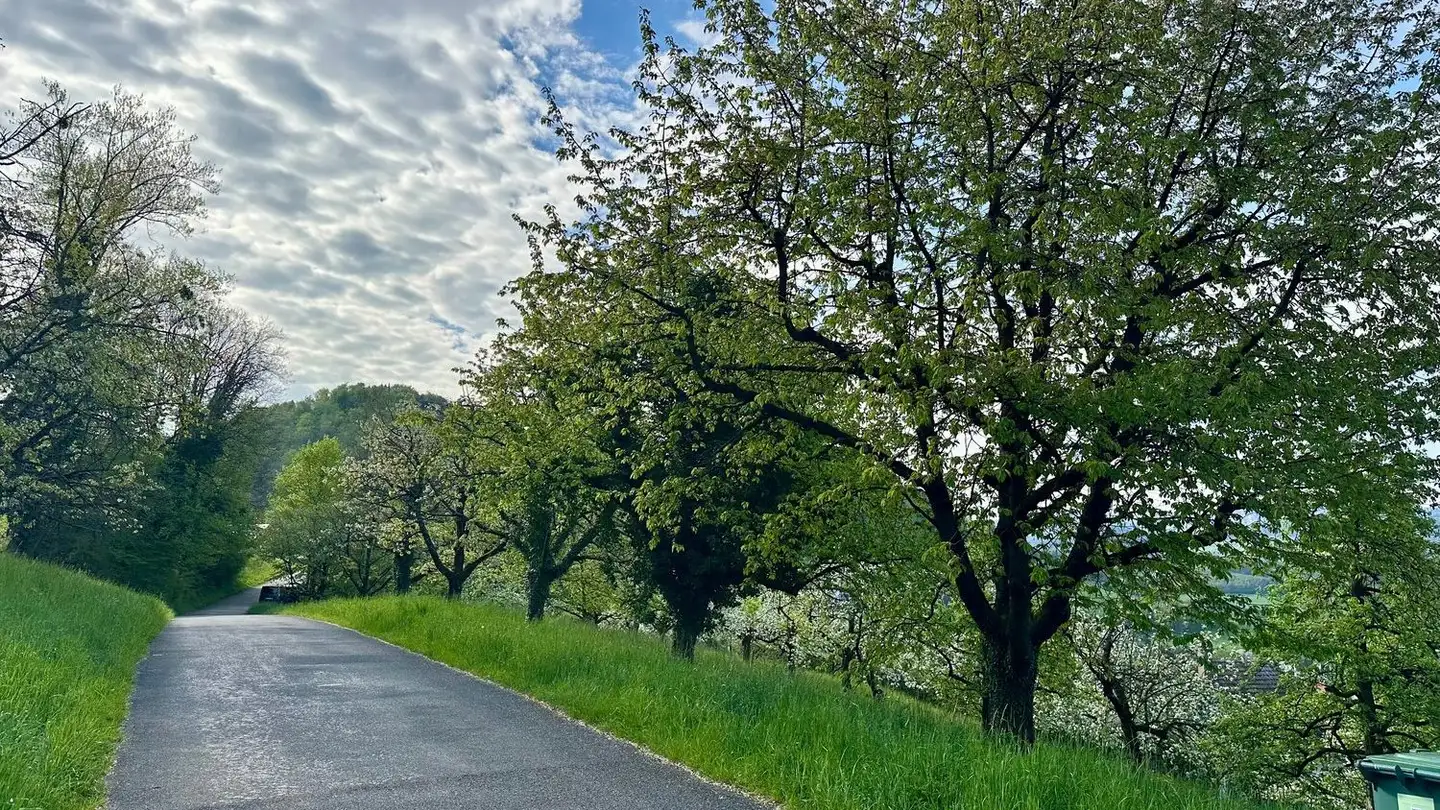 Terreno edificabile in vendita - Elletenweg, 4456 Tenniken - Photo 4