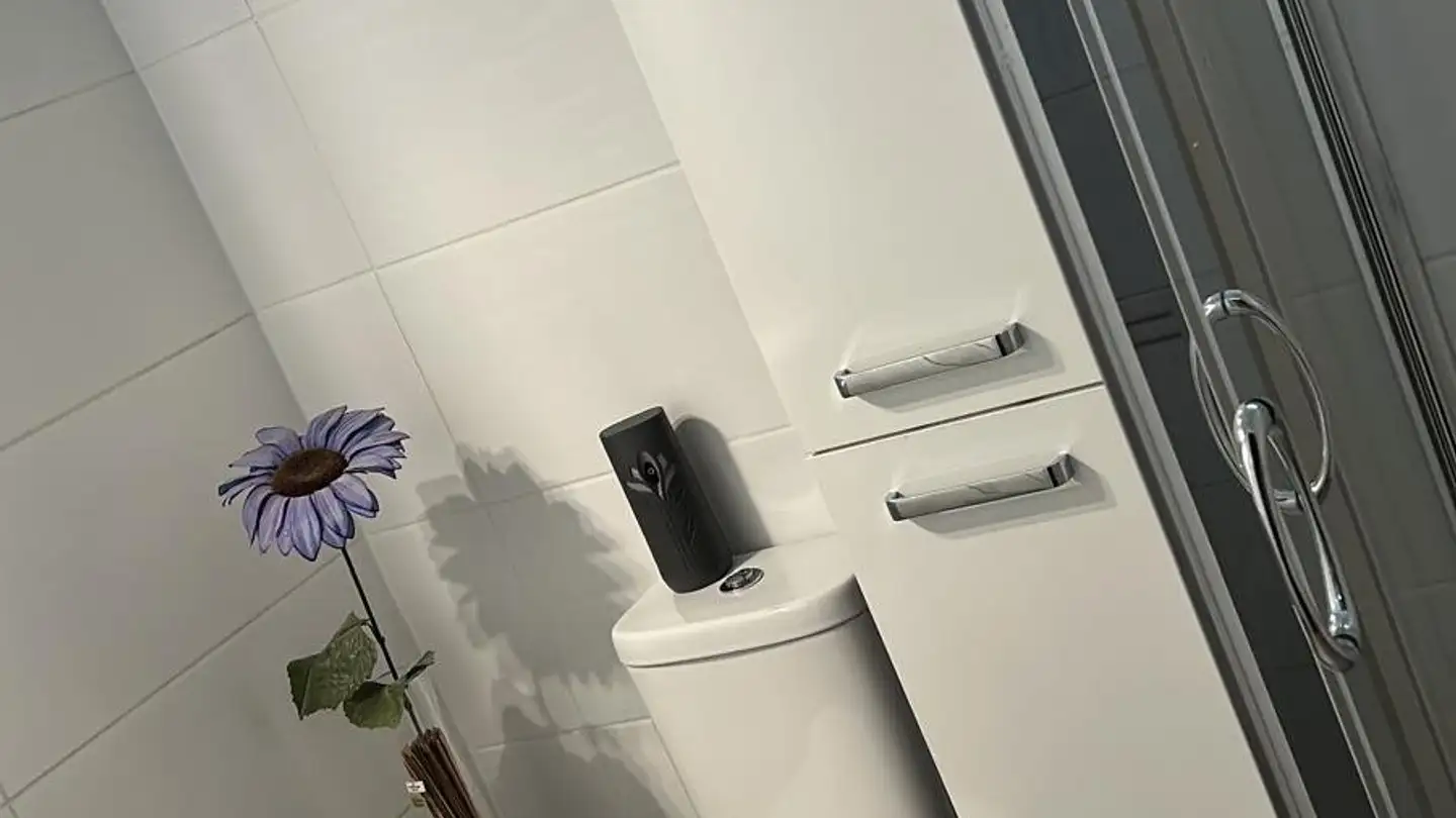 Chambre à louer - 6527 Lodrino