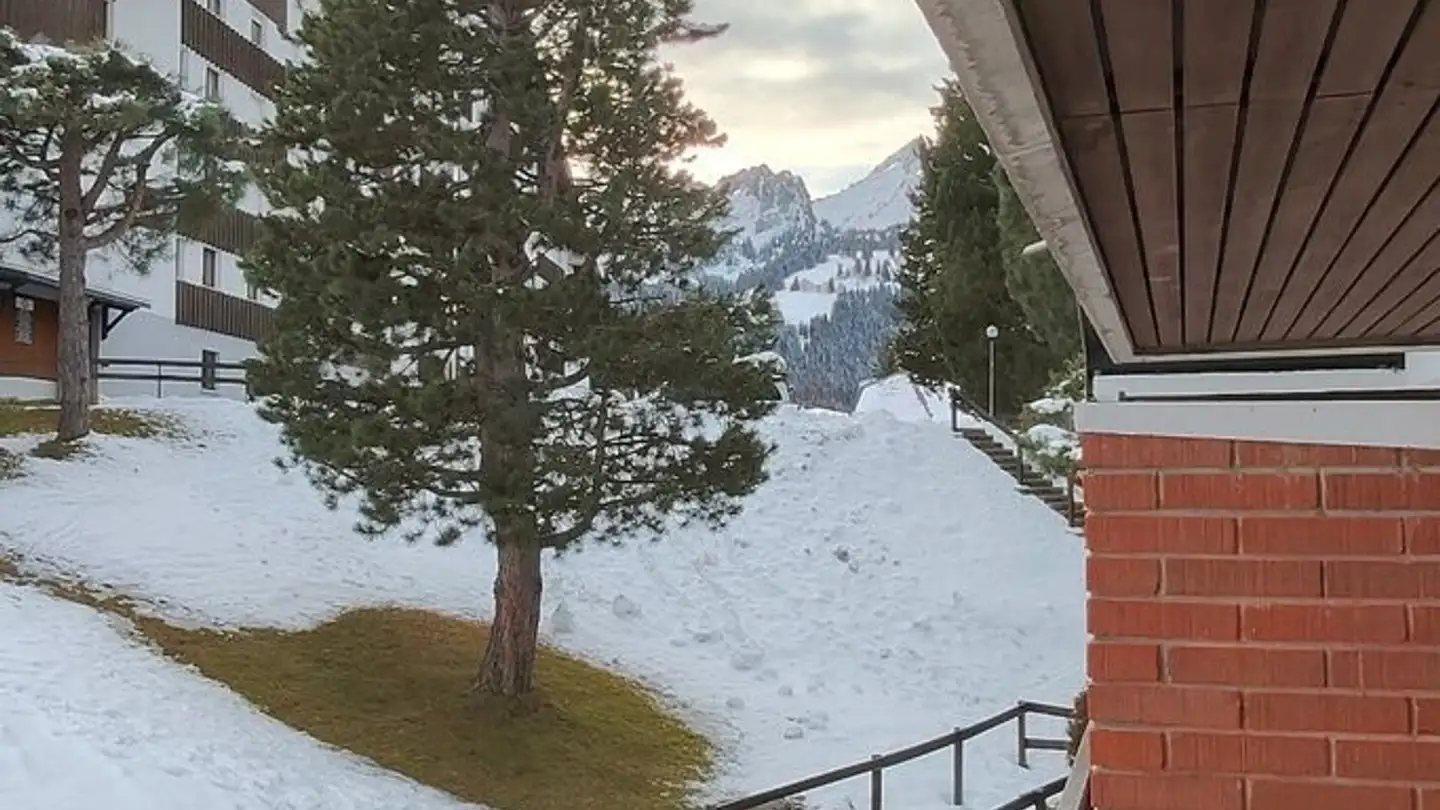 Appartement à louer - Route De La Jorette 60, 1899 Torgon - Photo 2