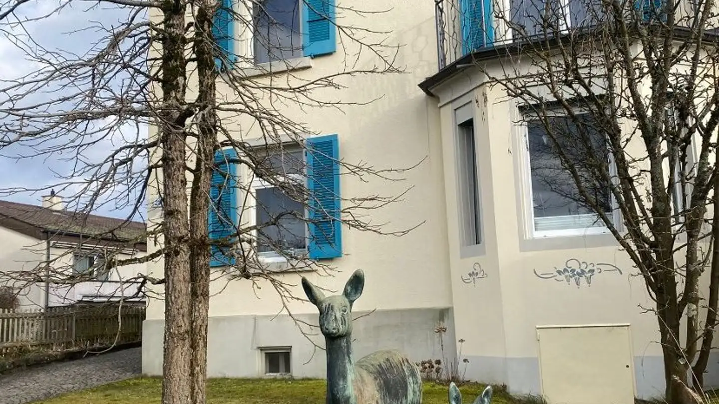 Chambre à louer - 5000 Aarau - Photo 2