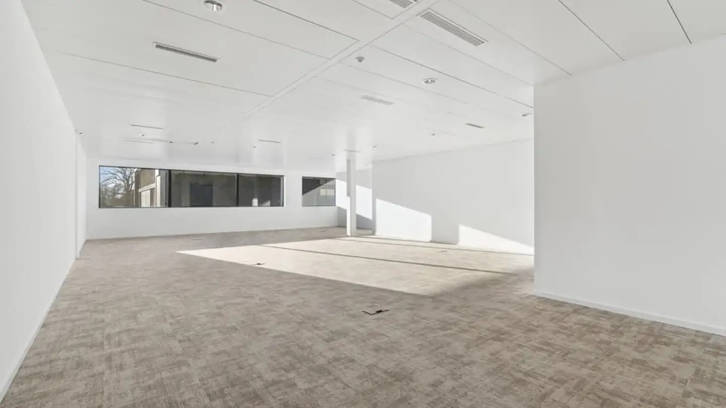 Commercial for rent - 1262 Eysins - Photo 4