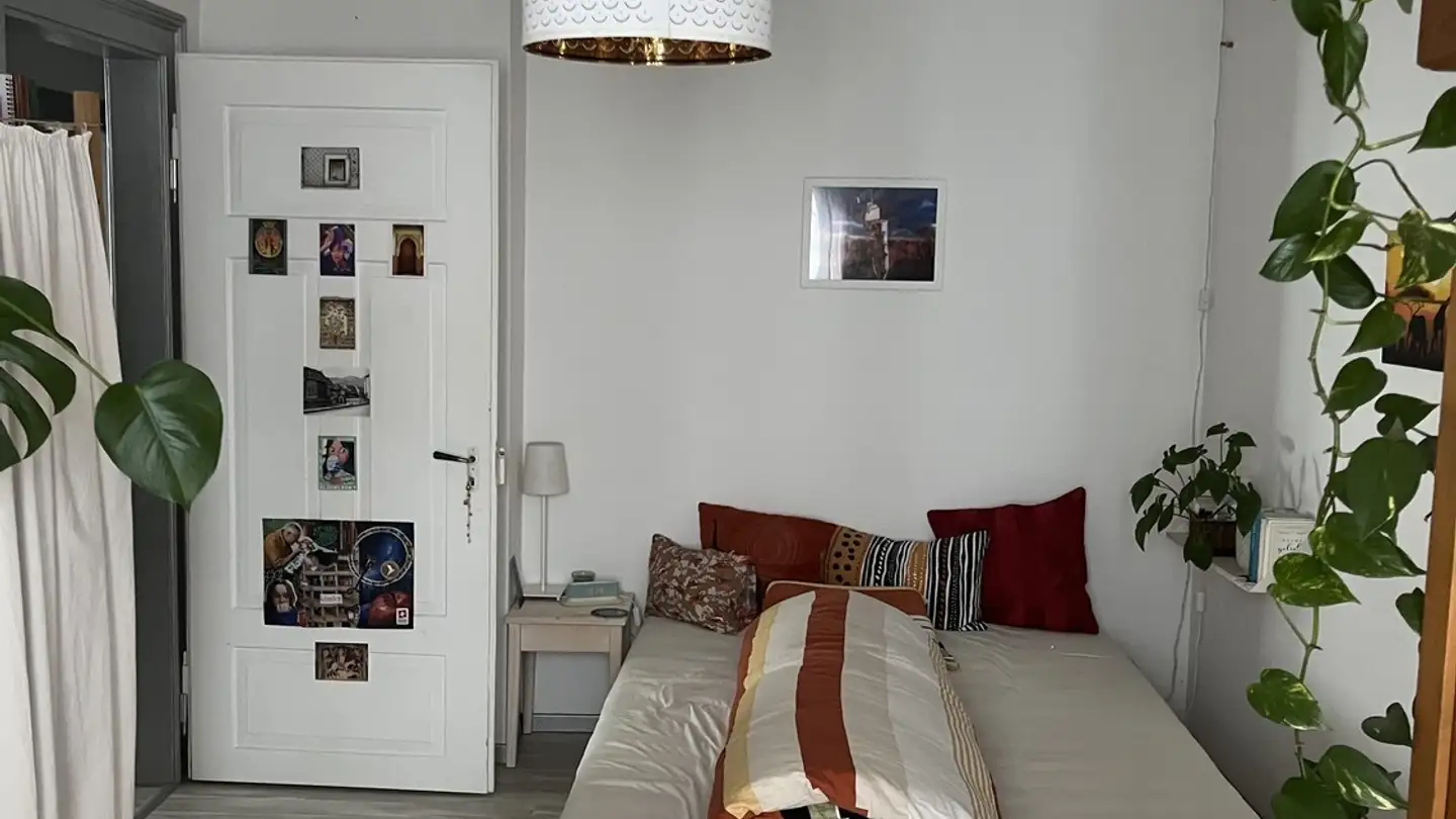 Single room for rent - Eduard-Steiner-Strasse 5, 8400 Winterthur