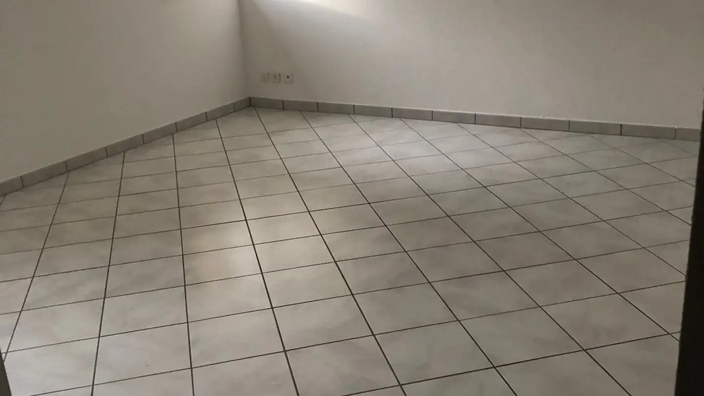 Appartamento in affitto - Via Elgia 15, 6806 Sigirino - Photo 4