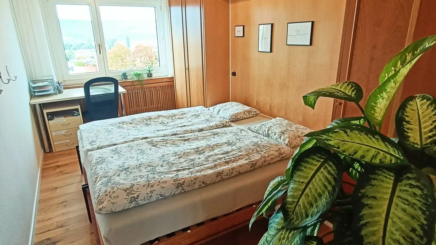 Single room for rent - Burstwiesenstrasse 47, 8606 Greifensee