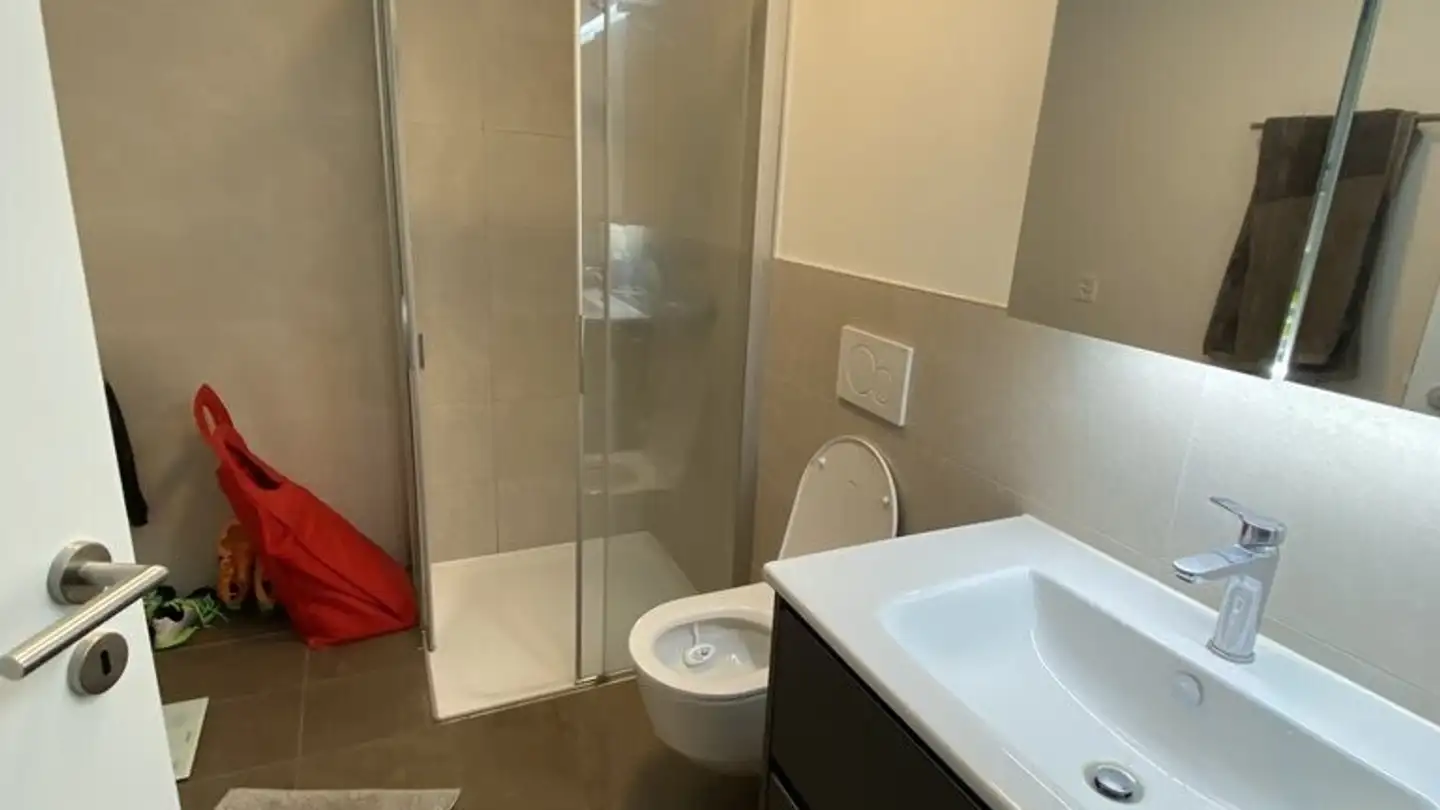 Appartamento in affitto - Chemin Du Grand-Praz 3, 1012 Lausanne - Foto 4