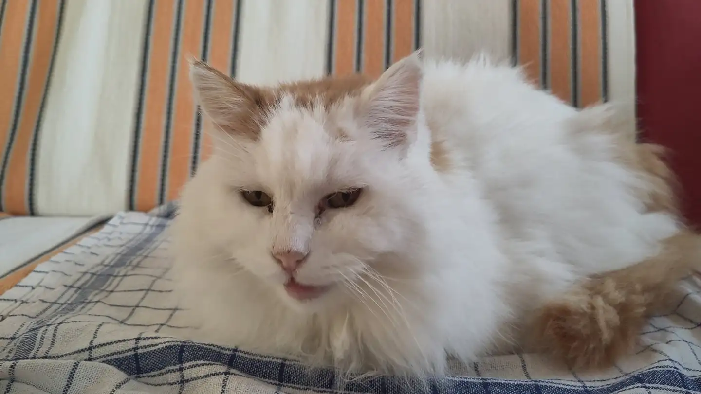 Apartment for rent - 1617 Tatroz - Photo 4