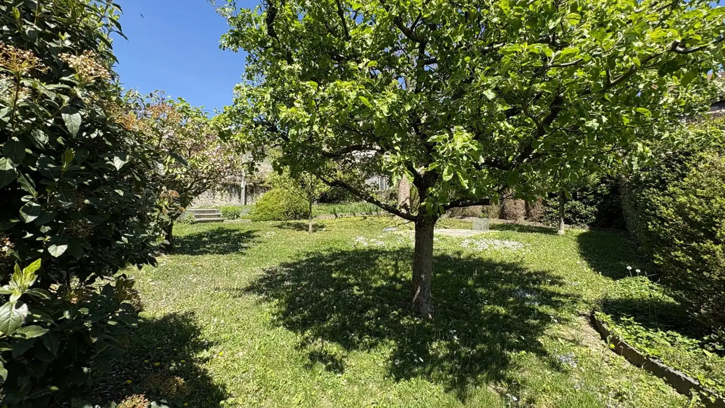Appartamento in affitto - Rue Du Carroz 4, 1071 Chexbres