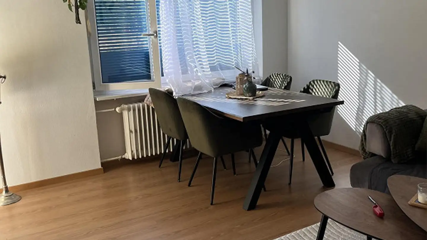 Appartamento in affitto - Hulfteggstrasse 14, 8400 Winterthur