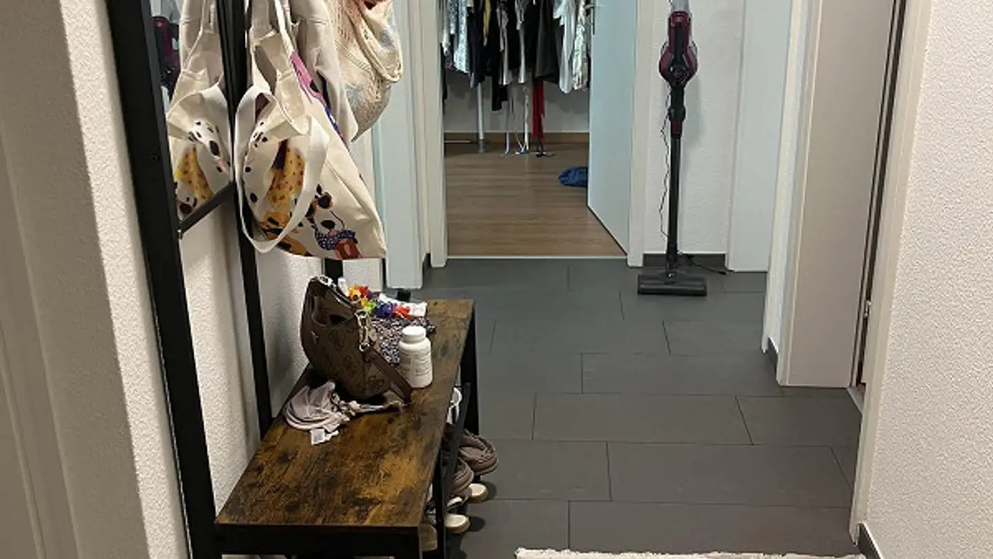 Appartamento in affitto - Hulfteggstrasse 14, 8400 Winterthur - Foto 4