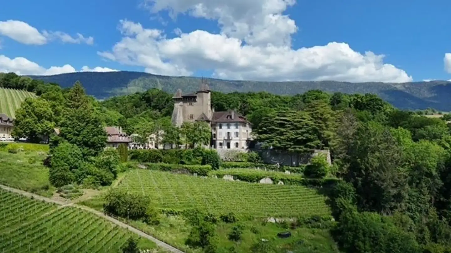 Spazio ufficio in affitto - 2028 Vaumarcus