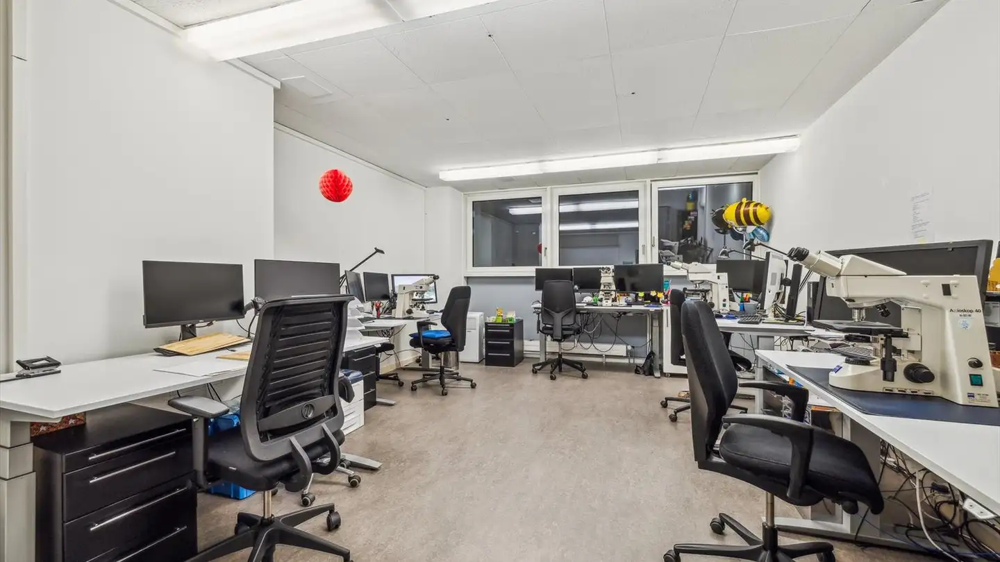 Casa singola in affitto - Aeschenvorstadt 57, 4051 Basel - Foto 2