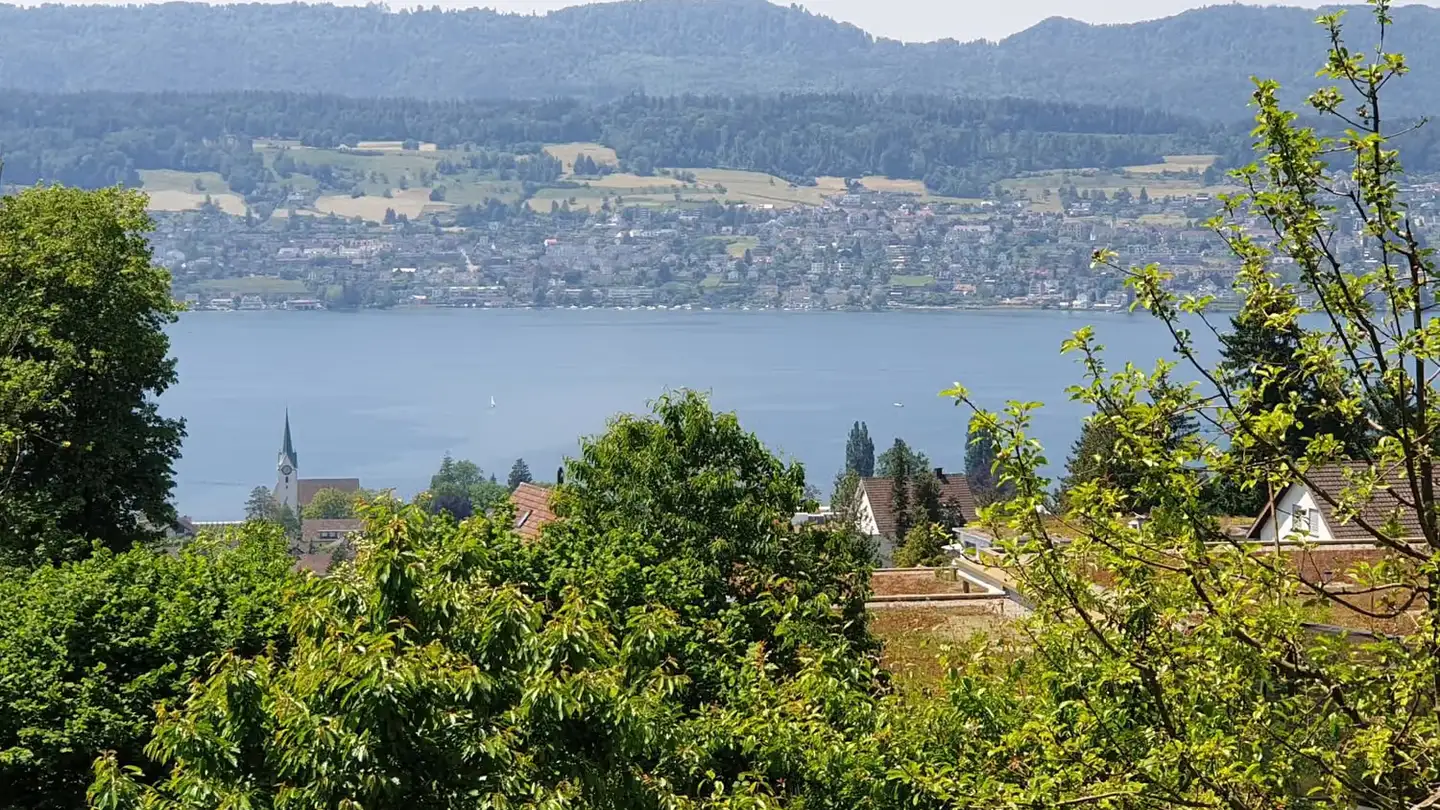 Apartment for rent - Fuederholzstrasse, 8704 Herrliberg