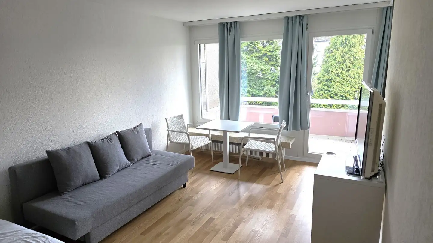 Appartement à louer - Reinhold-Frei-Strasse 61, 8049 Zürich