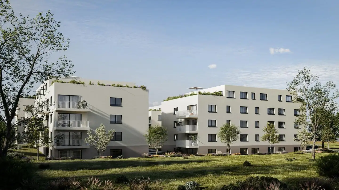 Wohnung mieten - 5102 Rupperswil