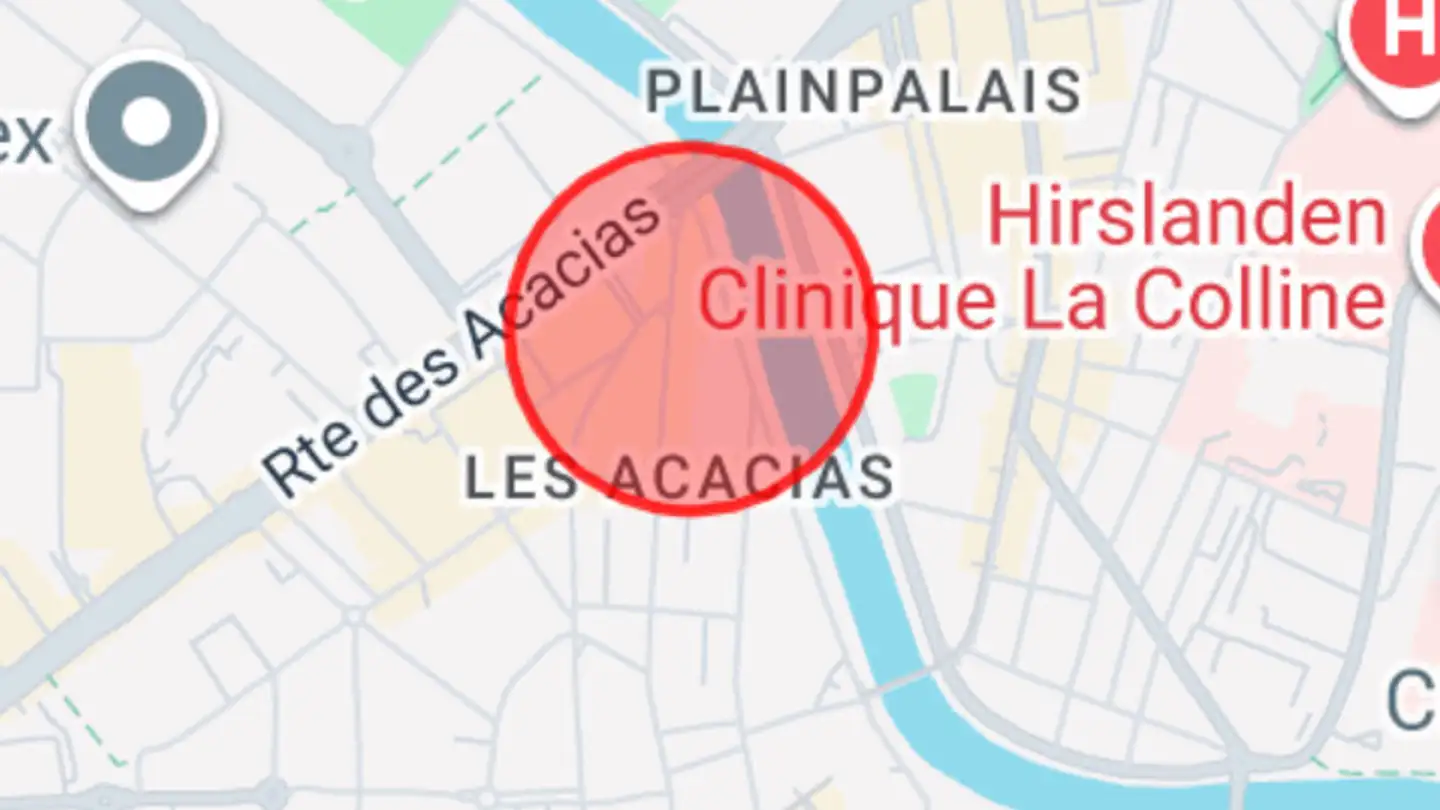 Wohnung mieten - 1227 Carouge GE