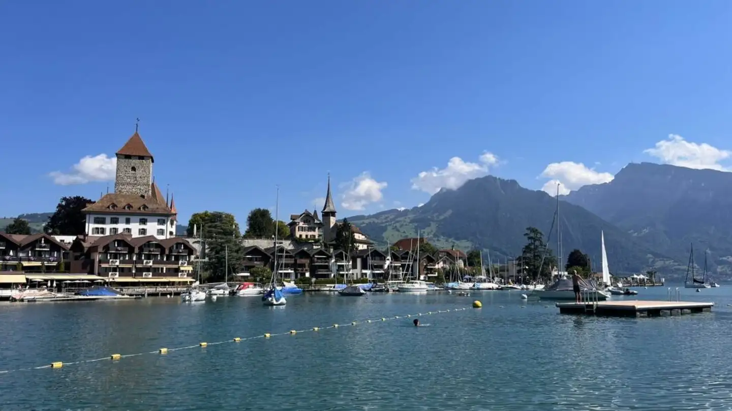 Appartement à vendre - Schachenstrasse 20a, 3700 Spiez - Photo 2