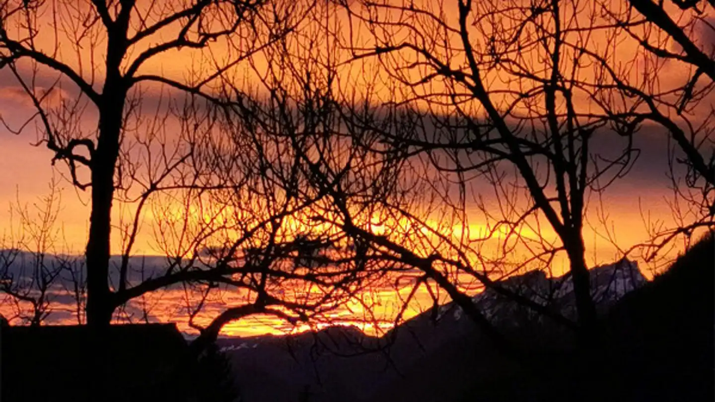 Apartment for rent - Bläuistrasse 10, 6442 Gersau - Photo 2