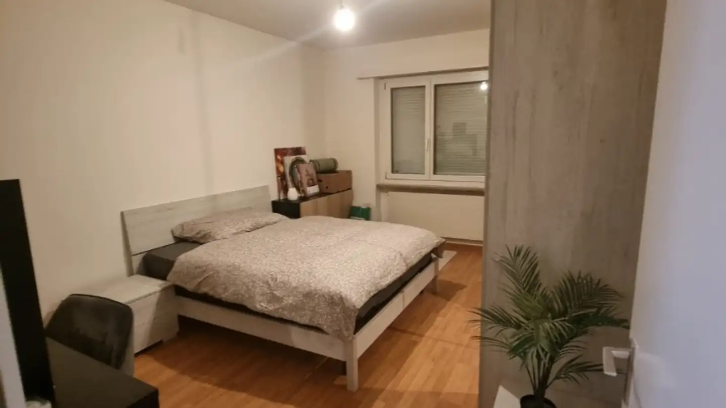 Appartamento in affitto - Via Locarno 52, 6616 Losone - Foto 3