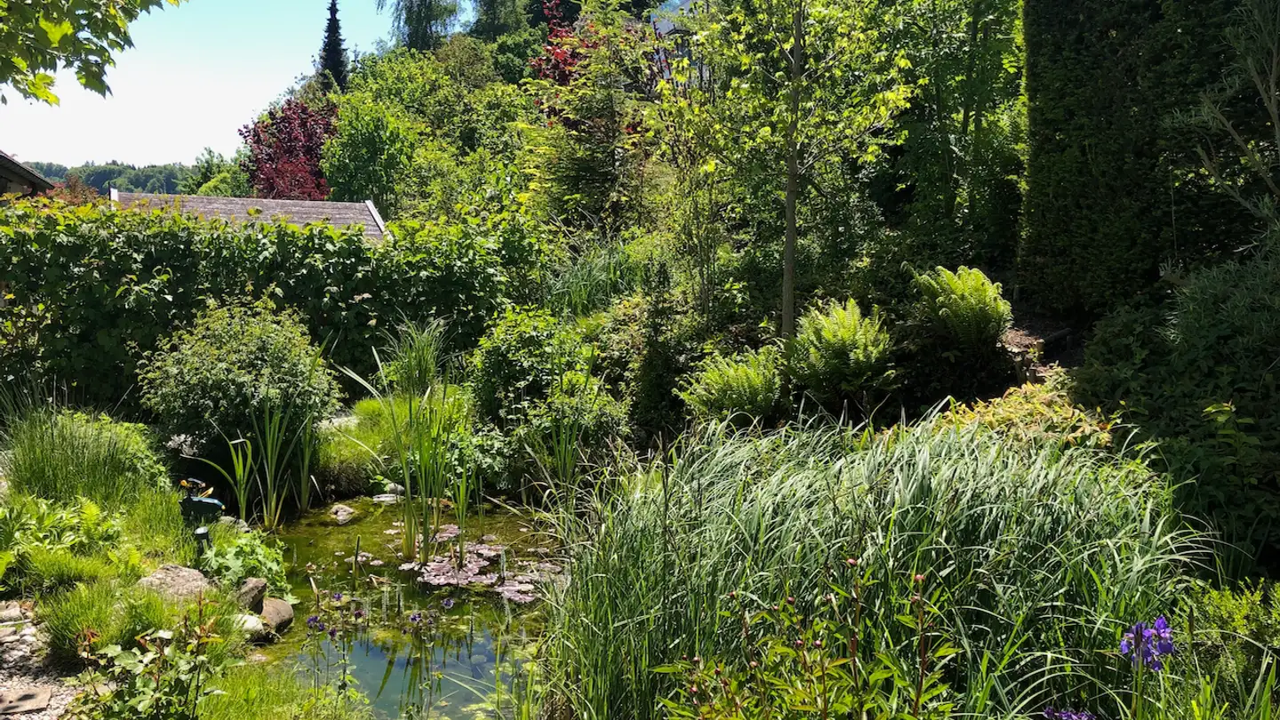 Casa singola in vendita - 5712 Beinwil am See - Photo 4