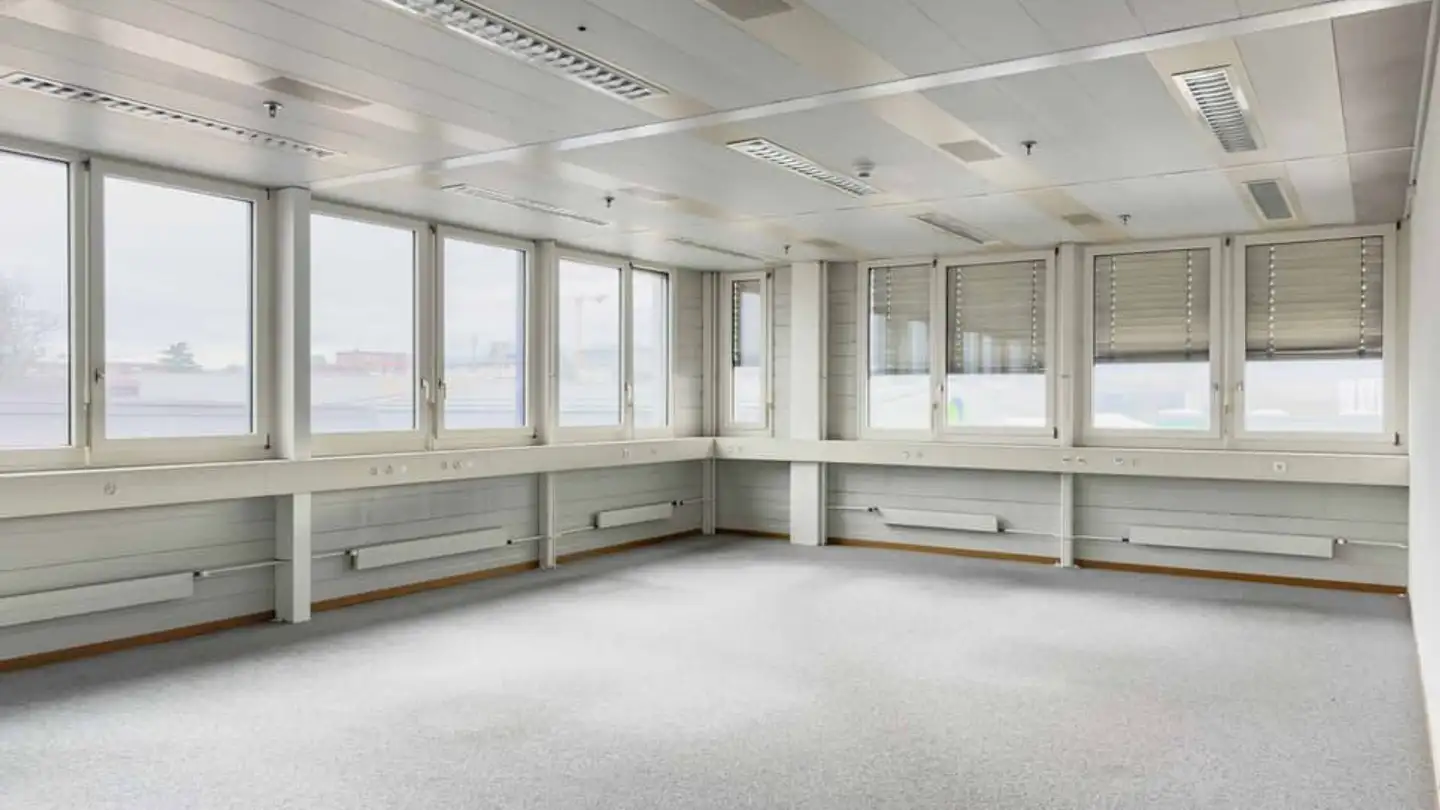 Gewerbe mieten - 1217 Meyrin