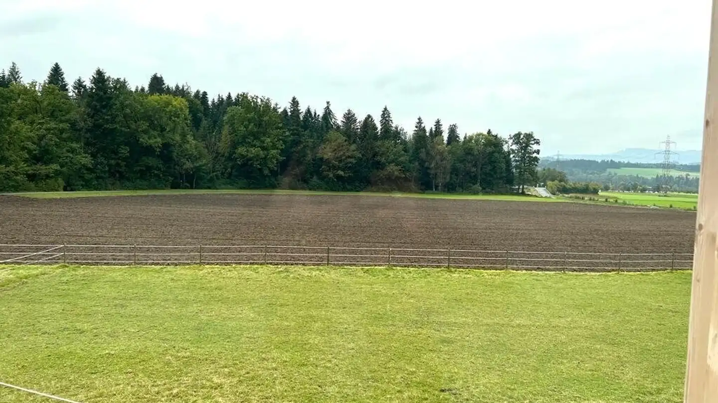 Wohnung mieten - Bernstrasse, 3629 Kiesen - Foto 4